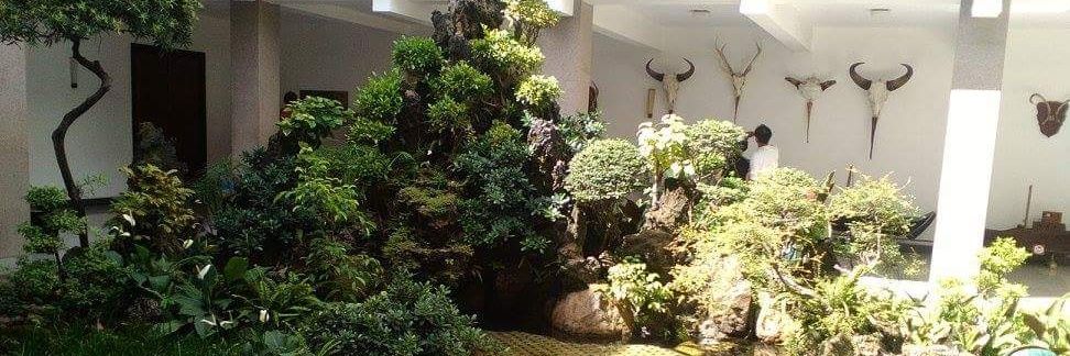 Viet Anh Pham banner