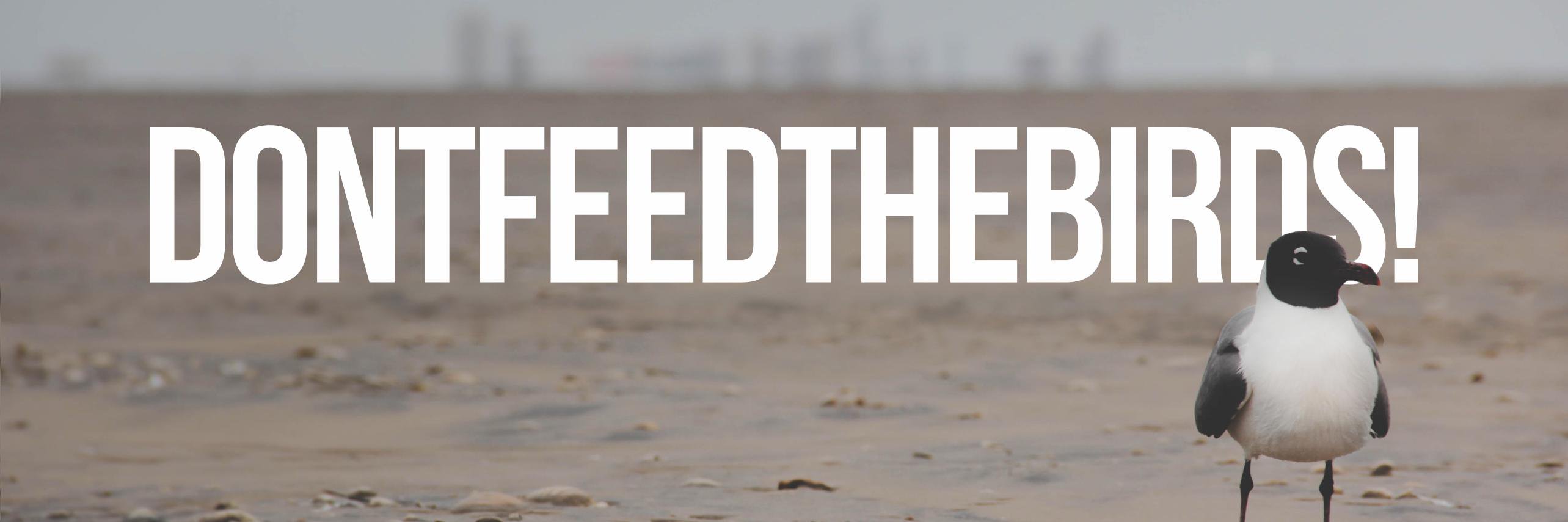 DONTFEEDTHEBIRDS! banner