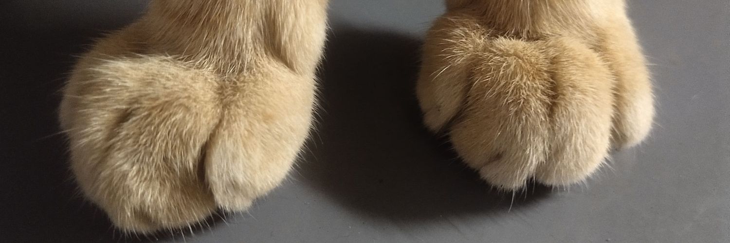 saiwasnotexist's profile banner image