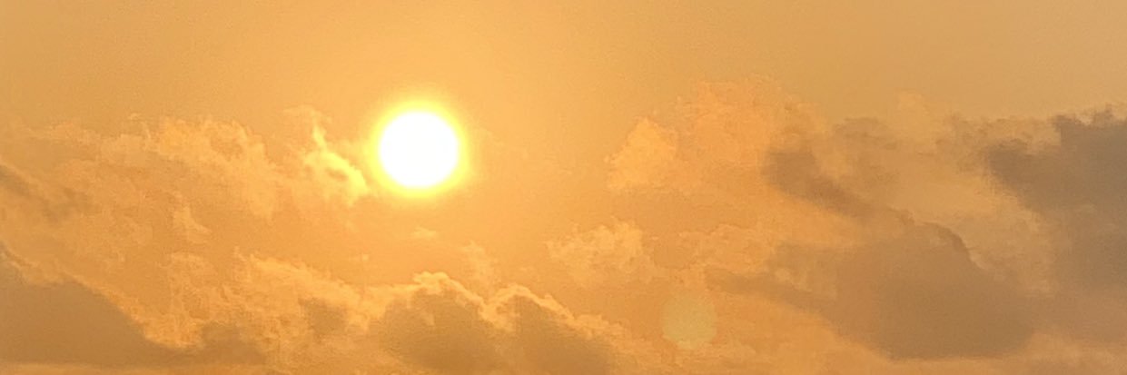 amychalfant's profile banner image