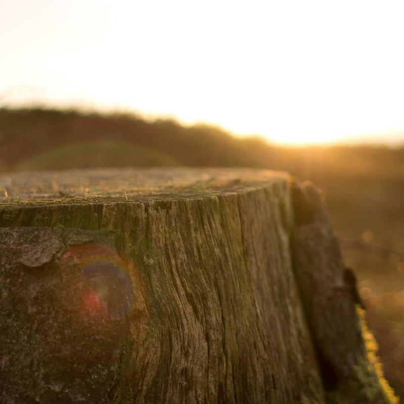 Roo8967's profile banner image