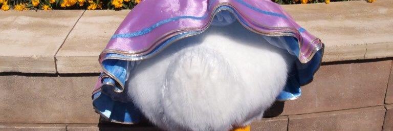 mdaisym's profile banner image