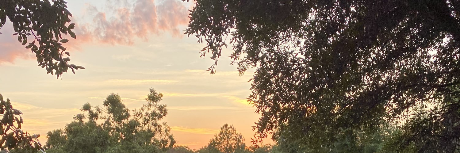 k8_00's profile banner image