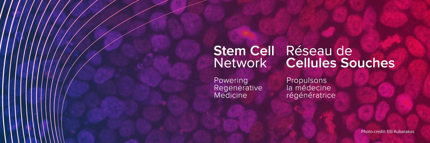 Stem Cell Network's banner