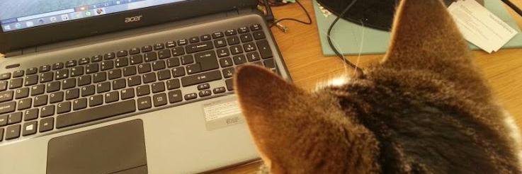 Kelly Terrell banner