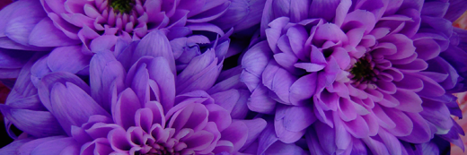AmySellsDayton's profile banner image