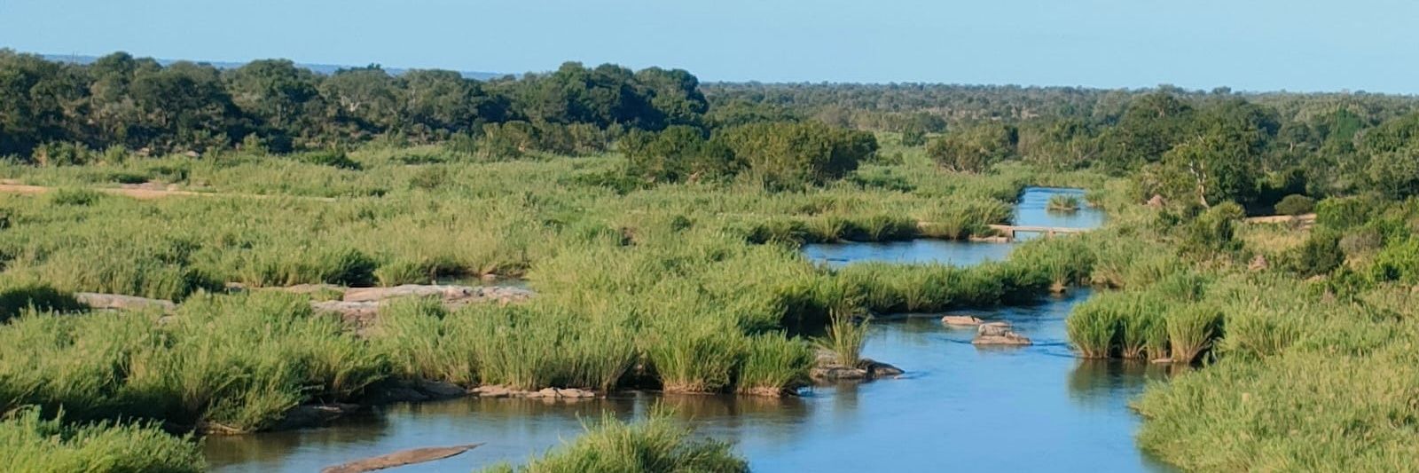 watershare's profile banner image