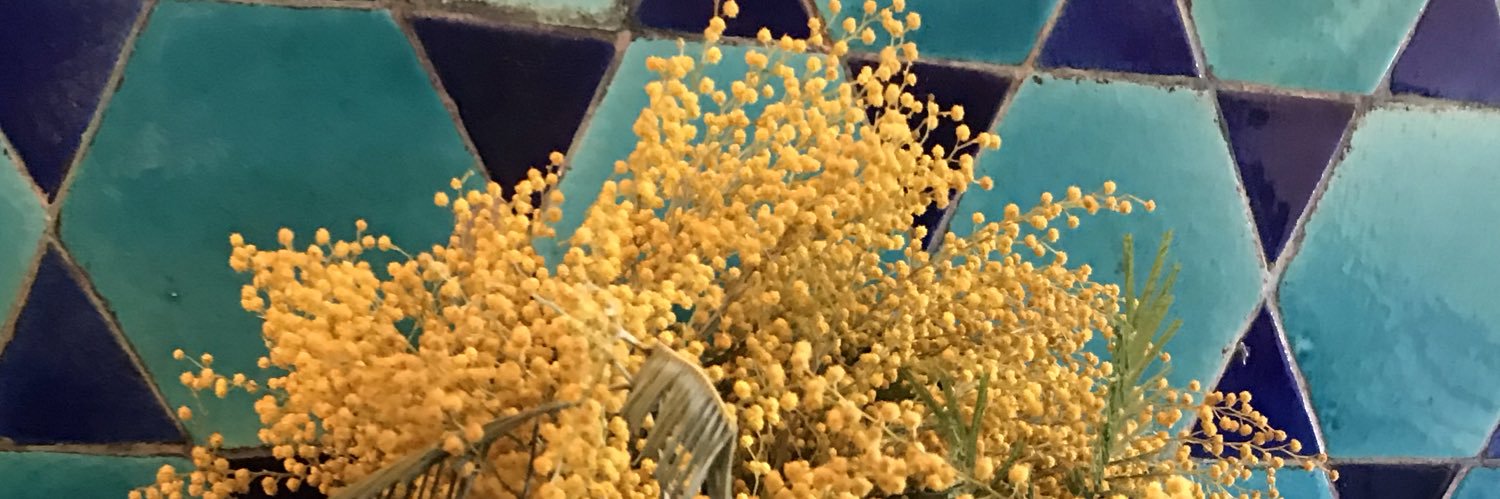 Başak Güntekin banner