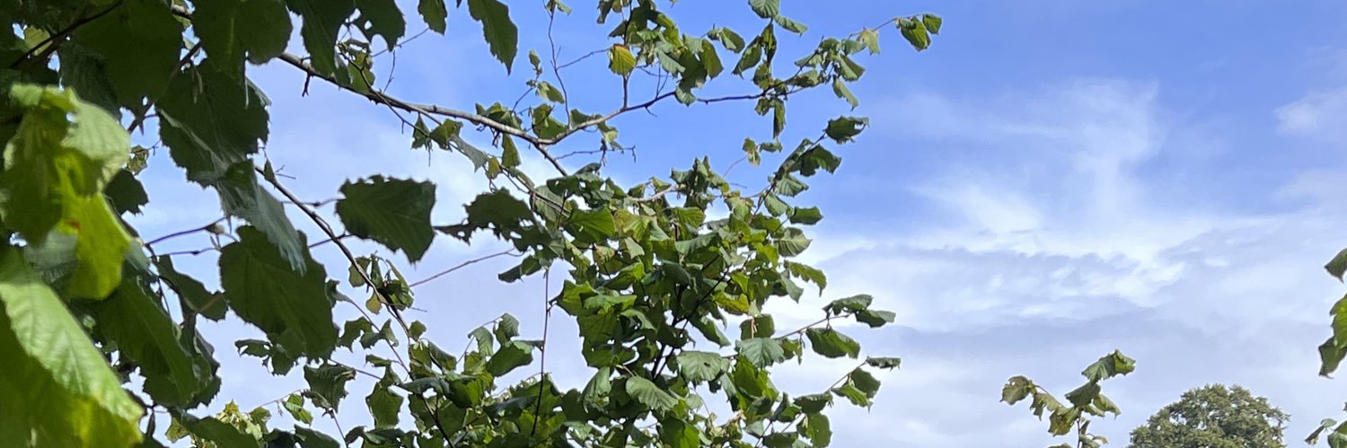 Slow Food in the UK banner