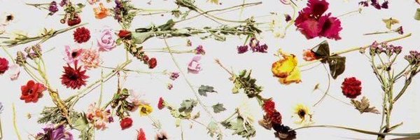 only1risa Profile Banner