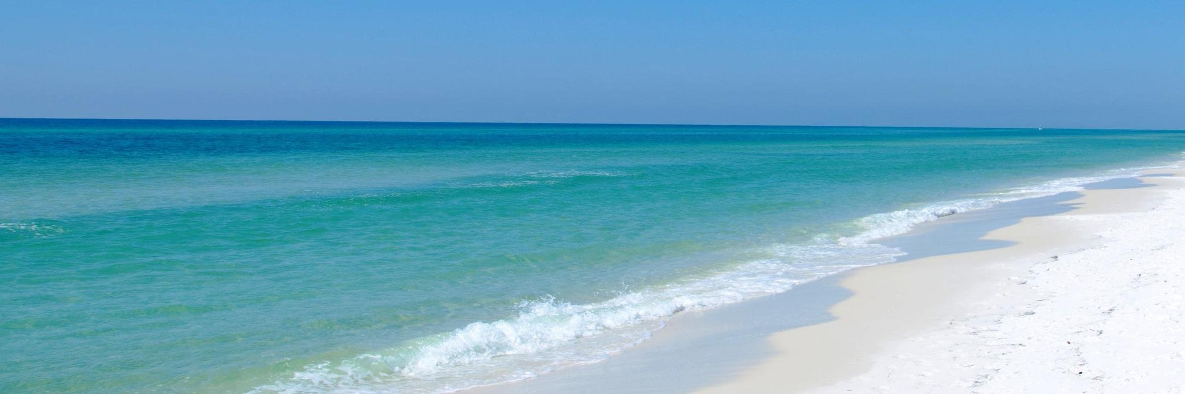 Starr De La Serna banner