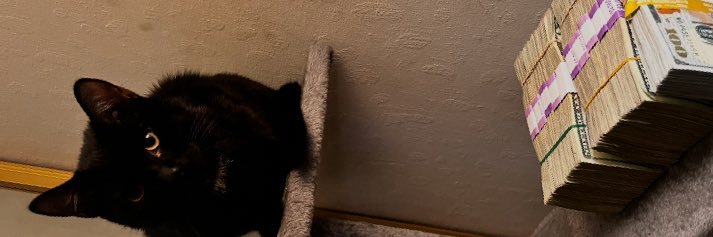 buggxoxo's profile banner image