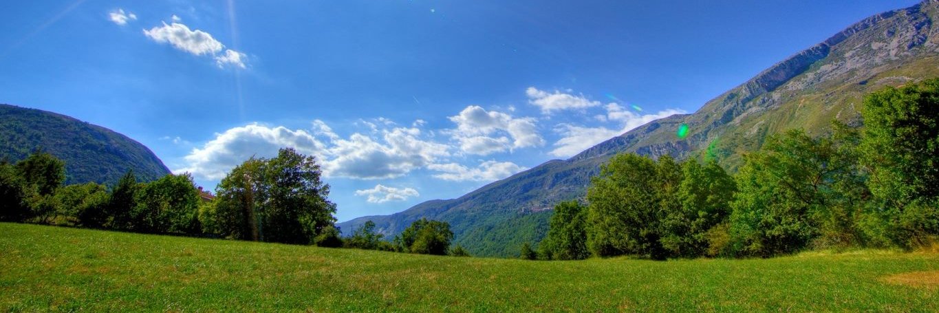 elicardus's profile banner image