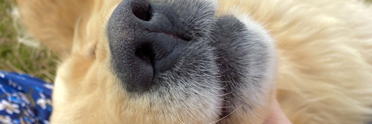 Roooo_24's profile banner image