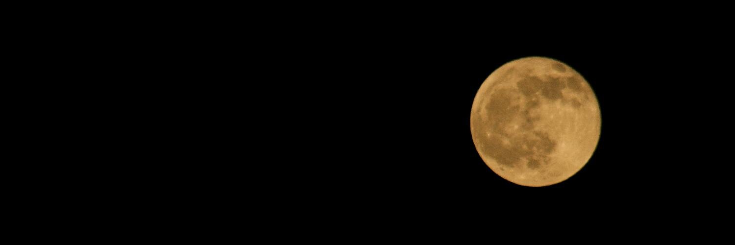 Dooooooooodle's profile banner image
