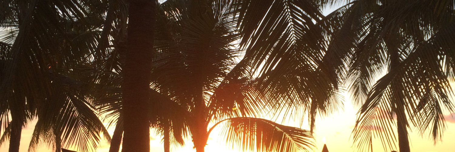 Kobrakid80's profile banner image