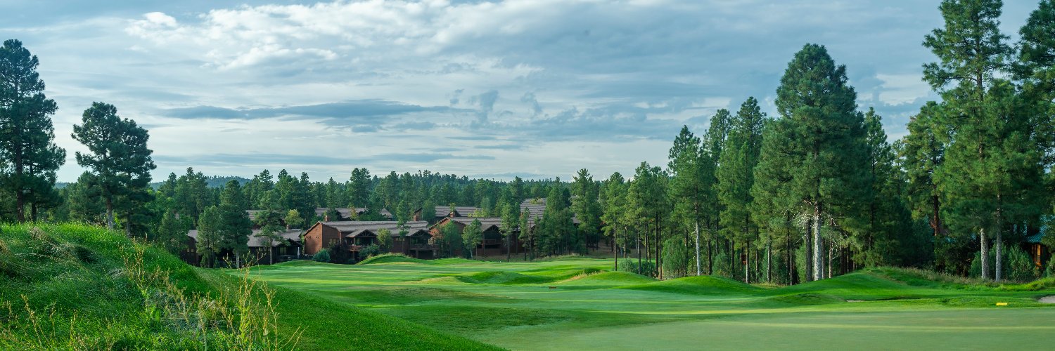 TorreonGolf's profile banner image