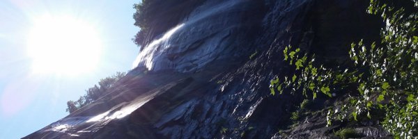 F3Sushi Profile Banner