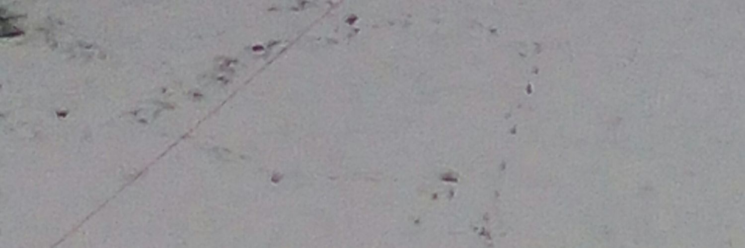 arny_ulf1's profile banner image