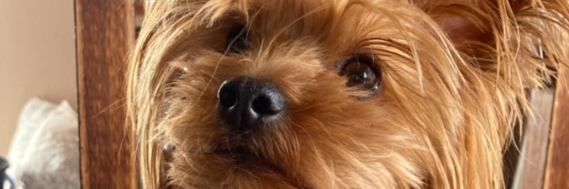 vale banner