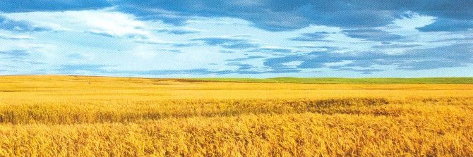 Ua81Max's profile banner image
