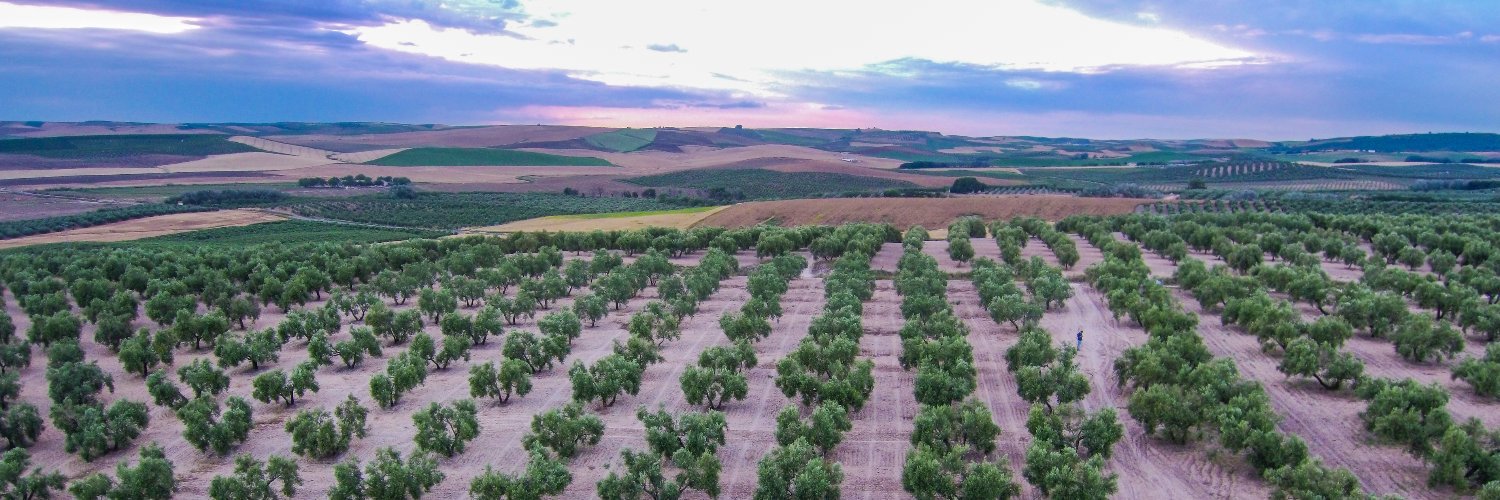 Fco Jesús Gómez banner