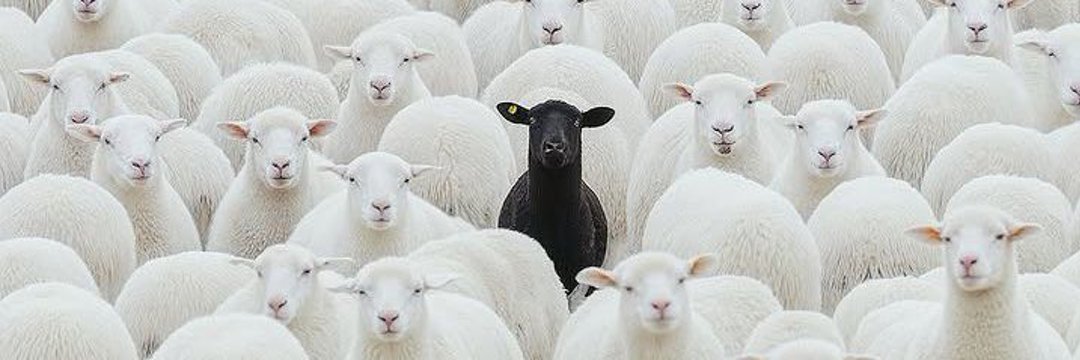 Samuel GERVIL banner