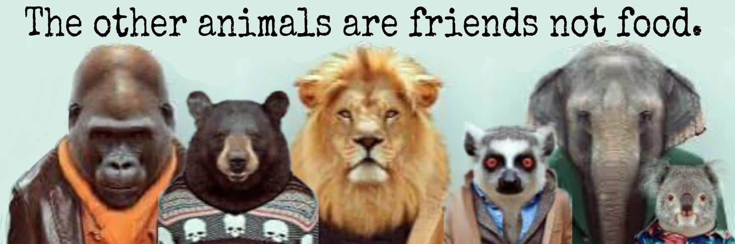 Ⓥ𝔼𝕝𝔻𝕠𝕟𝕒𝕥𝕦𝕤Ⓥ banner