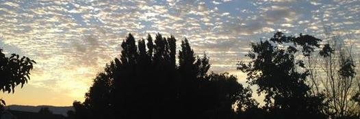DianneRuxton's profile banner image