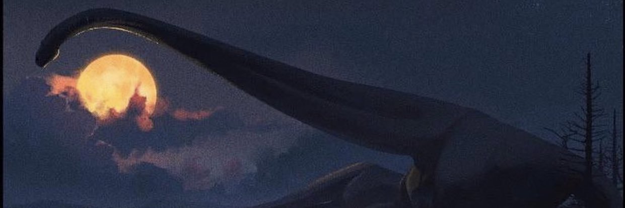 JCruz0_'s profile banner image