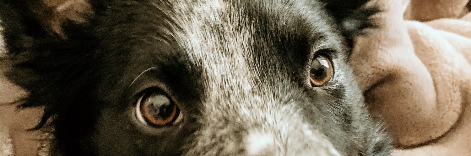 zoraewir_'s profile banner image