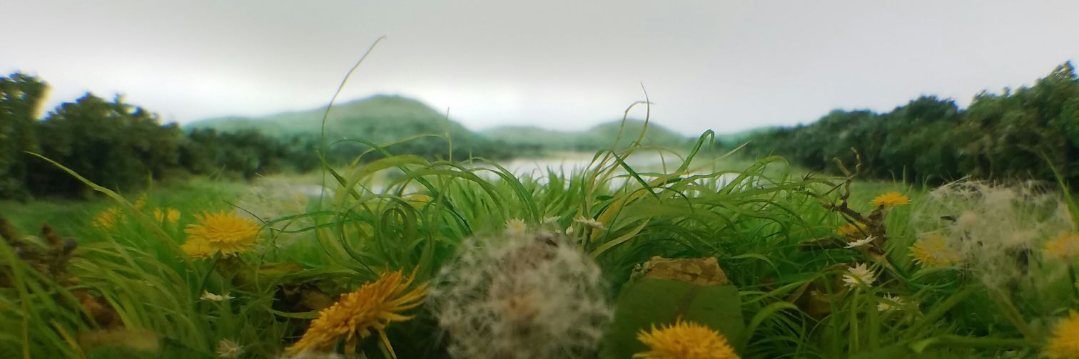 djheguy's profile banner image