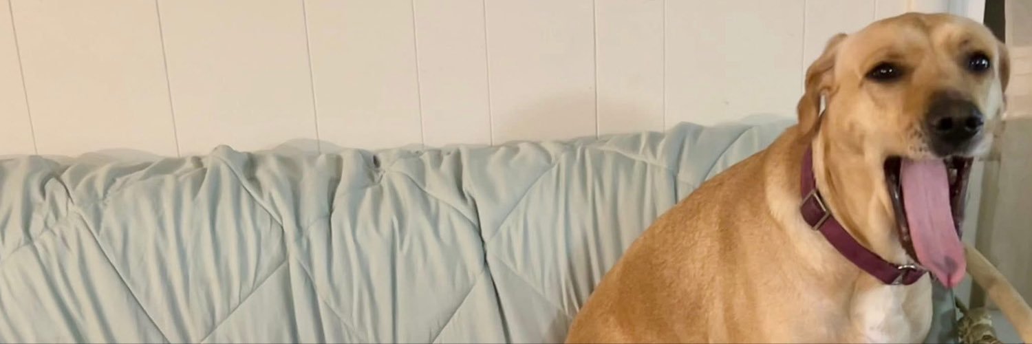 7pawsoffury's profile banner image