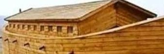 dismanmabo's profile banner image