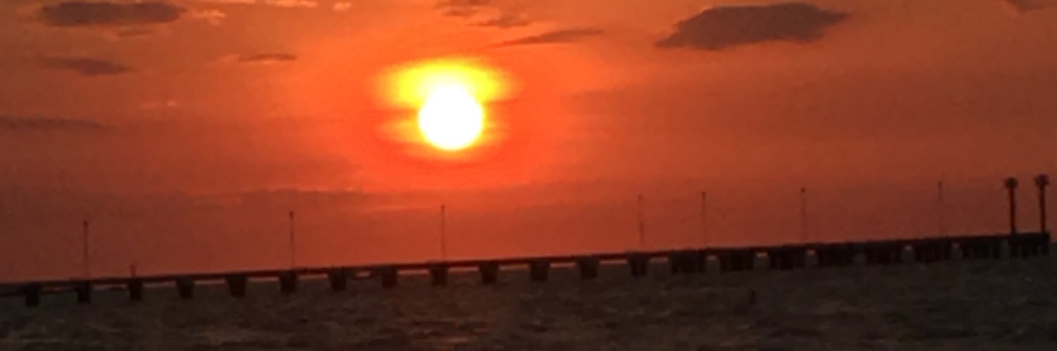 WilkJorge's profile banner image