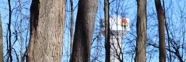 MSIFN Profile Banner