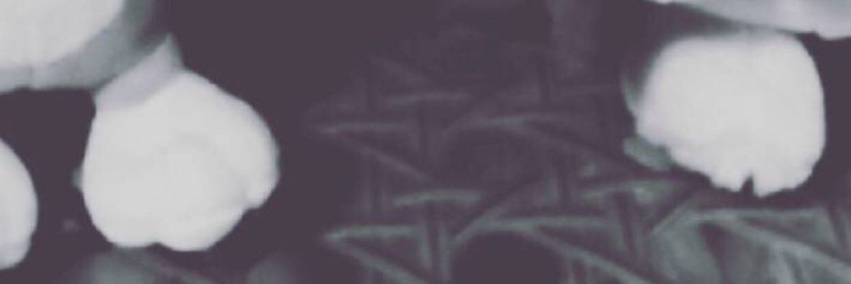 pulltrigger0412's profile banner image
