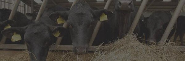 GamechangerFarm Profile Banner