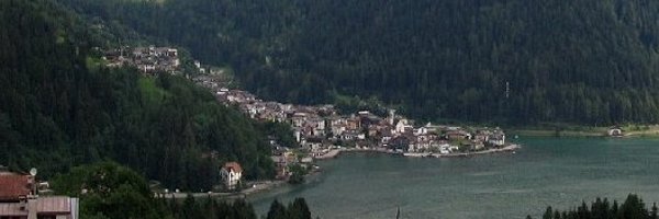 Vinc1955 Profile Banner