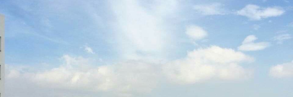 elearocha's profile banner image