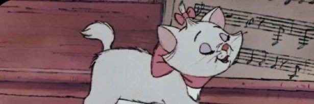silvanamacho's profile banner image