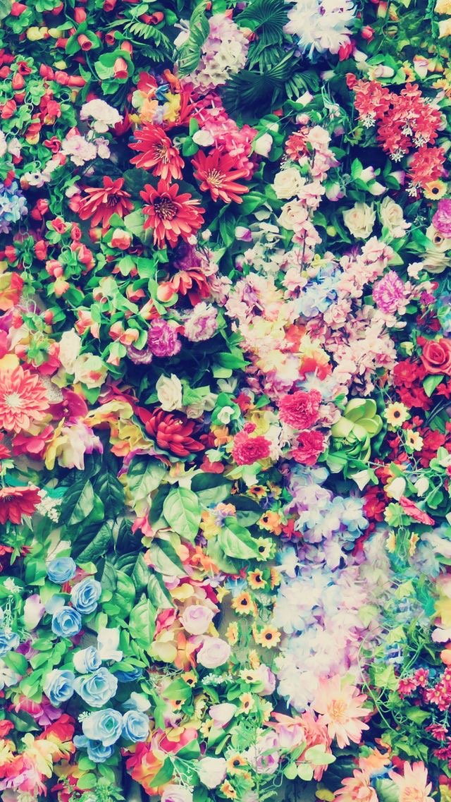 tatluvsflowers's profile banner image