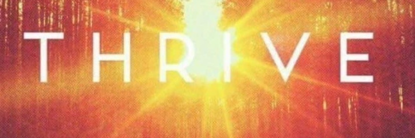 dirtrackchick's profile banner image