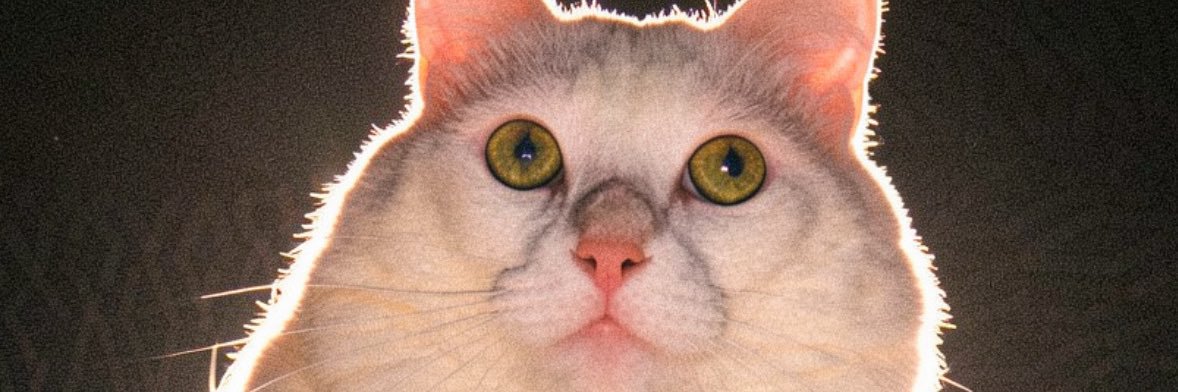 FabiolaTami's profile banner image