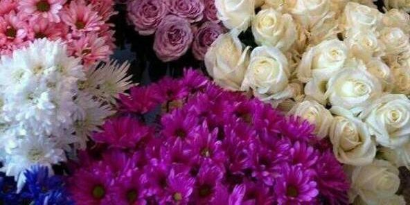 2106_abdullah's profile banner image
