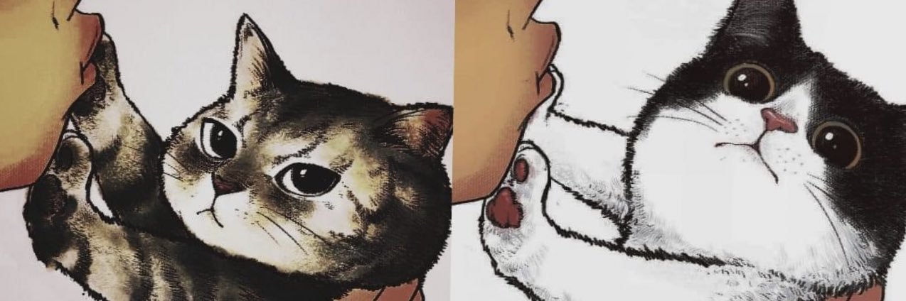 Brooklynite's profile banner image