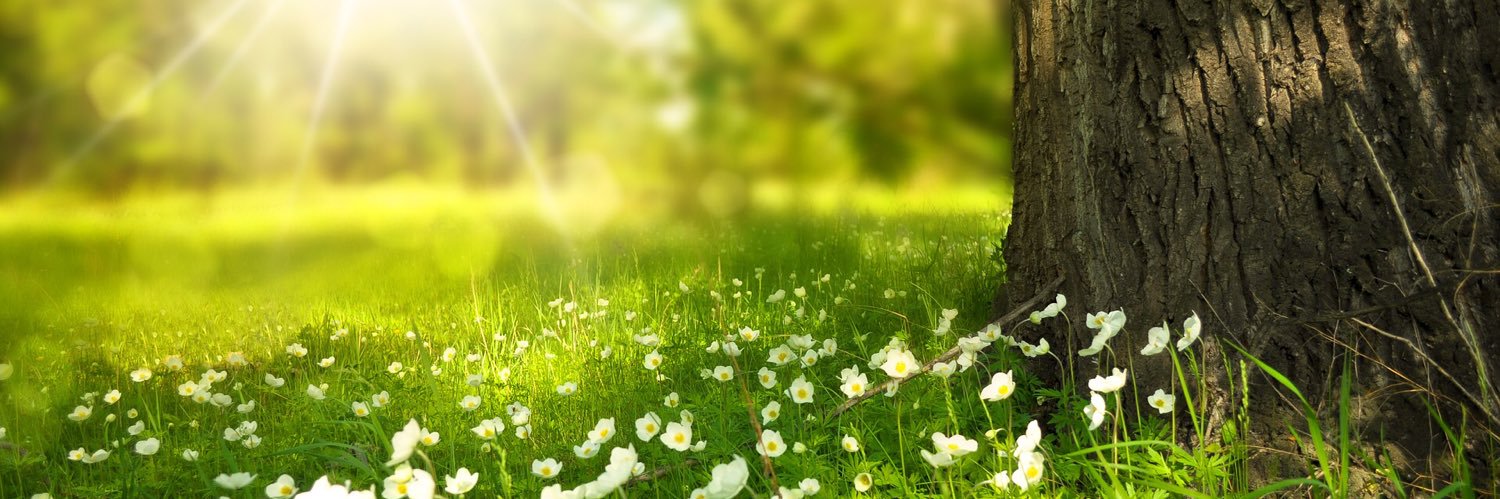 MO District UPC banner