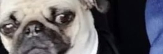 FACOSECZO's profile banner image