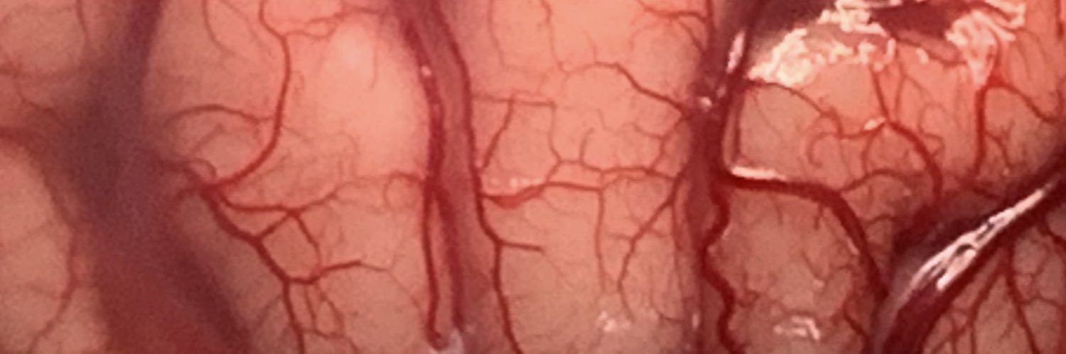 Nishanth Sadashiva (ನಿಶಾಂತ್ ಸದಾಶಿವ) banner