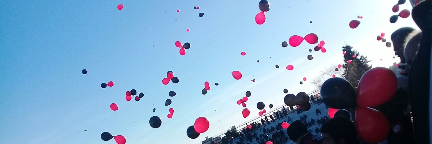 Camirojinegra's profile banner image